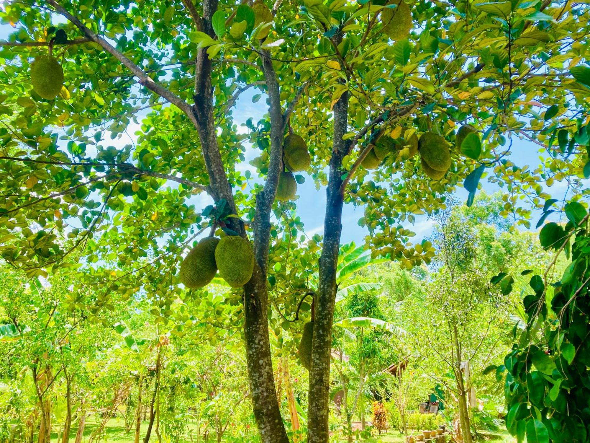 Suncity Privacy Cottages Udawalawe Luaran gambar