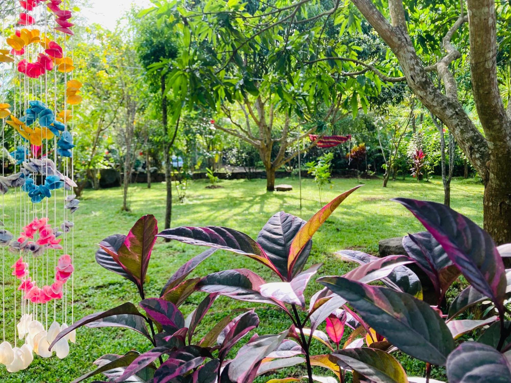 Suncity Privacy Cottages Udawalawe Luaran gambar