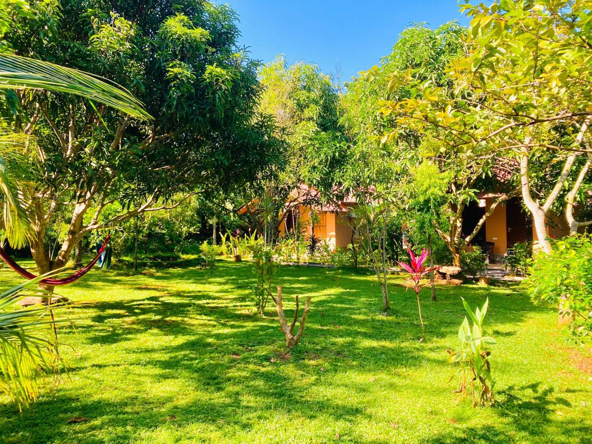 Suncity Privacy Cottages Udawalawe Luaran gambar